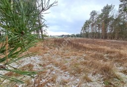 Działka budowlana Leontyna