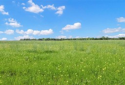 Działka inna Blue Ridge