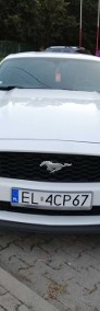 Mustang, 61000 km, 317 KM, 2.3 ecoboost-3