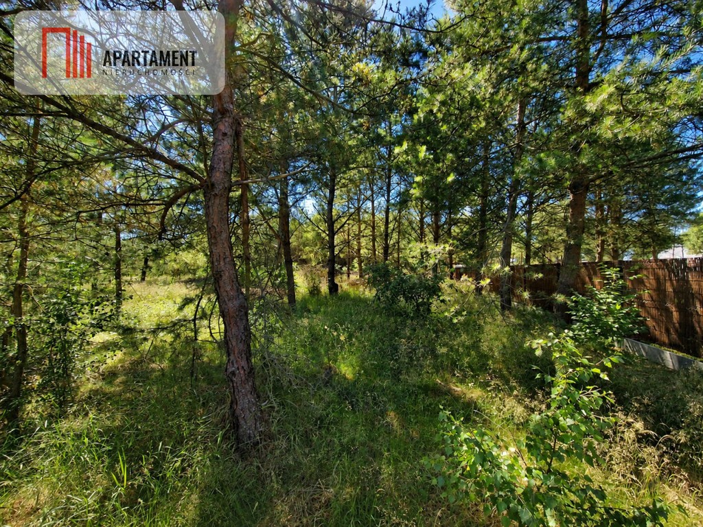 Działka 1139 m² | Kameralny zagajnik!! - Widok 2