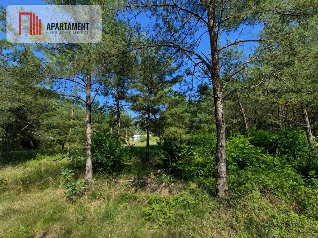 Działka 1139 m² | Kameralny zagajnik!! - Widok 3