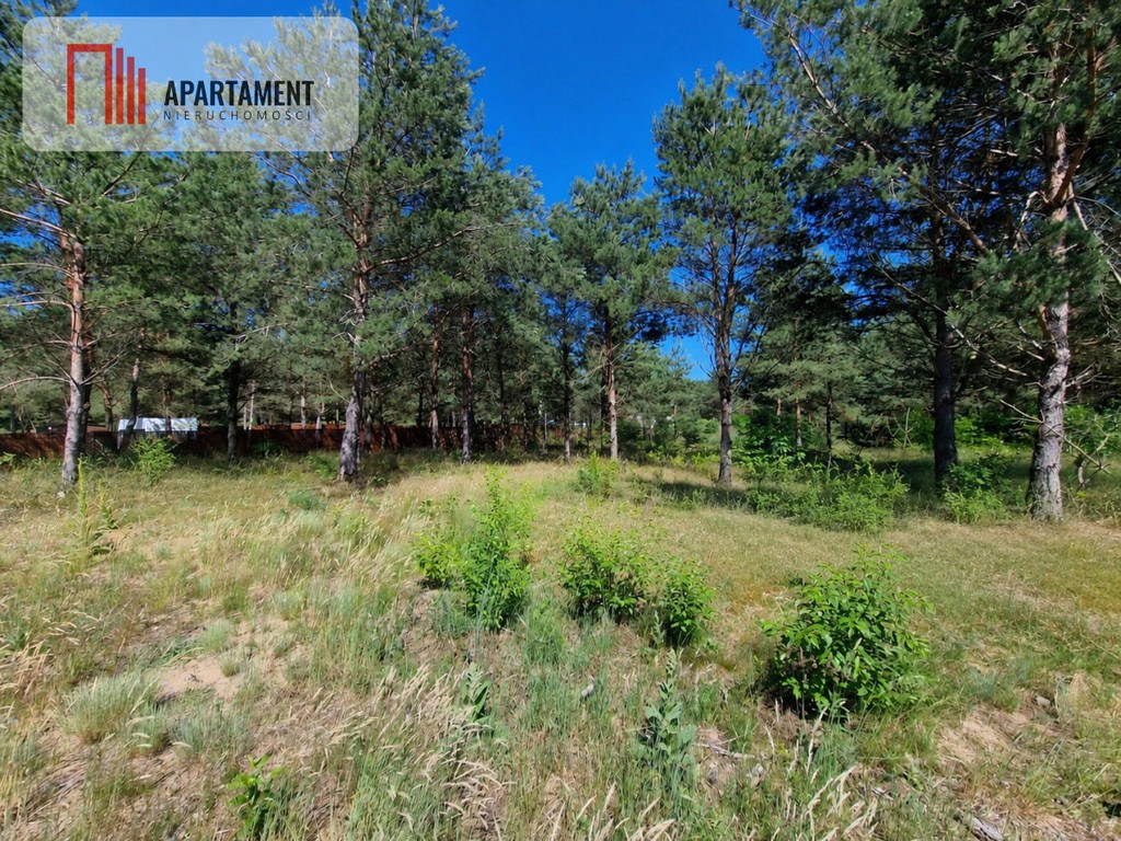 Działka 1139 m² | Kameralny zagajnik!! - Widok 4