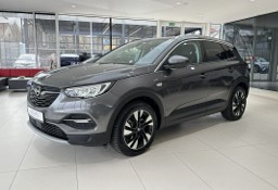 Opel Grandland X PHEV Hybrid, Elegance, LED, Nawigacja, FV23%, Gwarancja, DOSTAWA