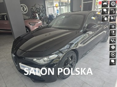Alfa Romeo Giulia Krajowy, 2.0T, Aktywny wydech Ulter, Stan Bardzo dobry-1