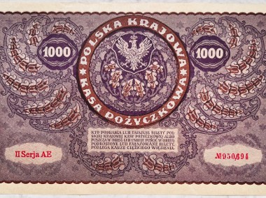 Banknot Polska IIRP 1000 Marek Polskich MKP 1919 rok II SERJA AE St. I UNC -2