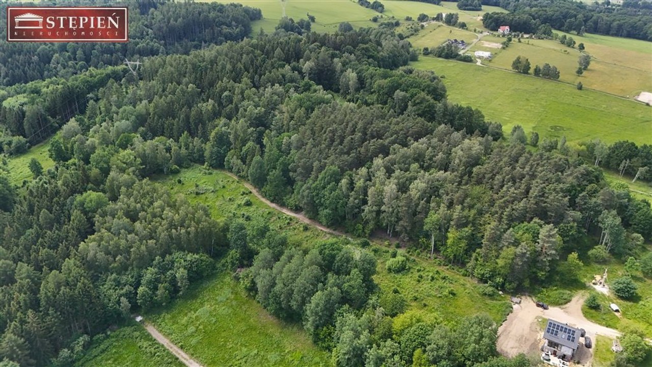 Działka mieszkalno - usługowa w Wojcieszycach - Widok 4