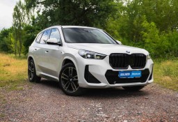 BMW X1 F48 , Salon Polska, 1. Właściciel, Serwis ASO, Automat, Skóra,