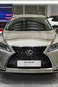 Lexus RX IV 300 F-Impression-2