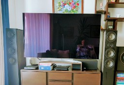 Sprzedam TV LG 65 OLED B7, zakupiony w 2020 r