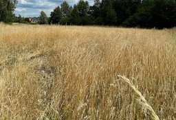 Działka budowlana Mysłowice Kosztowy, ul. Zielnioka