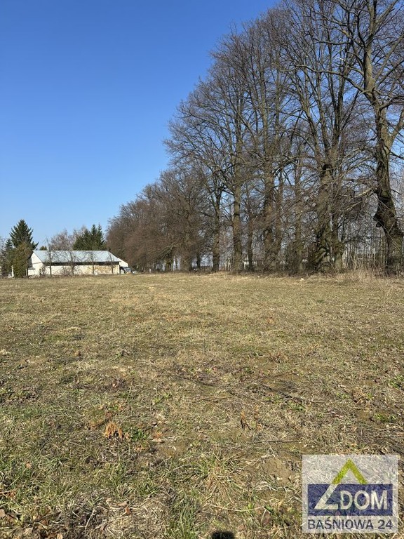 Nasutów - działka budowlana przy Al.Lipowej - Widok 2