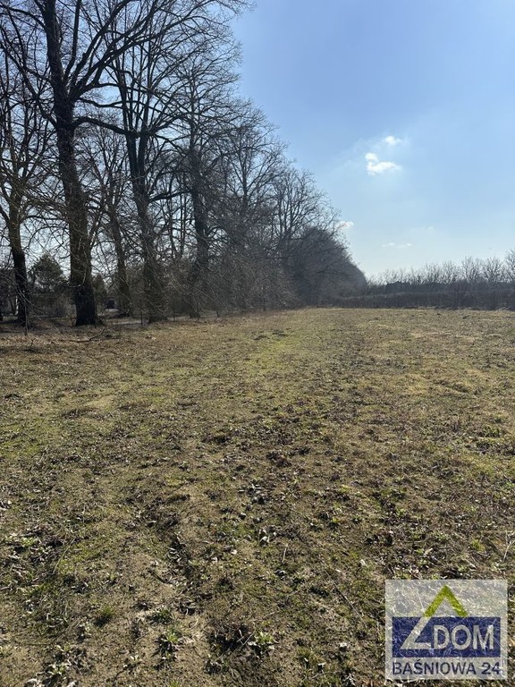 Nasutów - działka budowlana przy Al.Lipowej - Widok 5