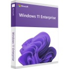 Windows 11 Enterprise