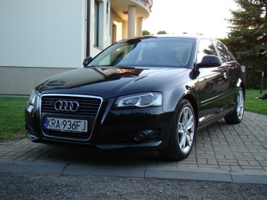 1,4 TSi 125KM, Fajny stan, Udokumentowany przebieg-1