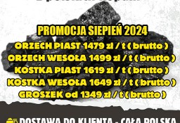 Sierpniowa promocja na węgiel hurtowy z polskich kopalni 2024