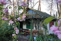 Działka rekreacyjna Sopot, ul. Mikołaja Reja