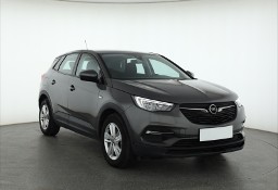 Opel Inny