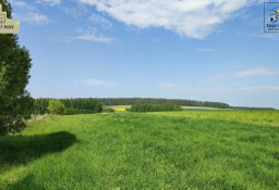 Działka rolna Gołębiewo Wielkie