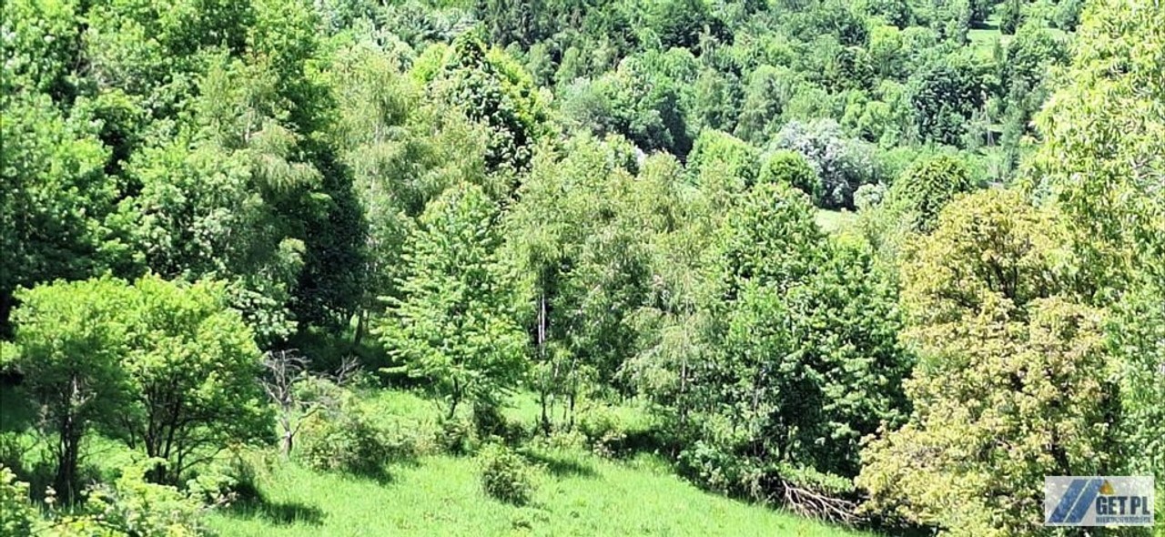 Babiogórski balkon w Zawoi. - Widok 6