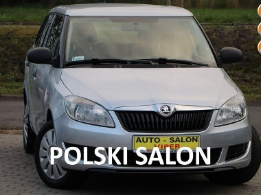 Skoda Fabia II 1-właścicel, krajowy, zarejestrowany, Fa VAT, serwisowany-1