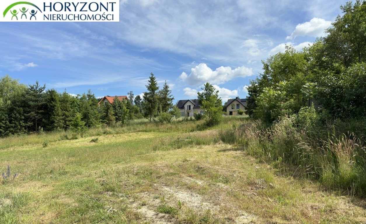 Czaple - dwie działki do wyboru - Widok 2