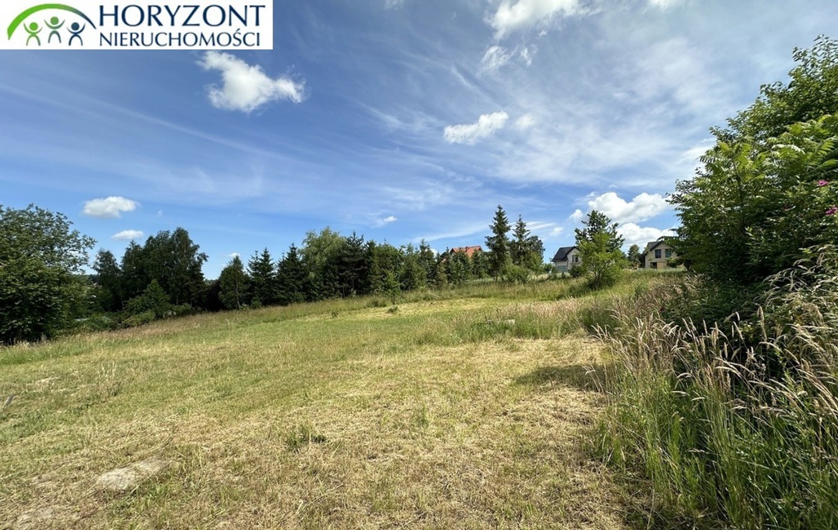 Czaple - dwie działki do wyboru - Widok 4