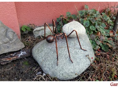 mrówka ozdoba -1