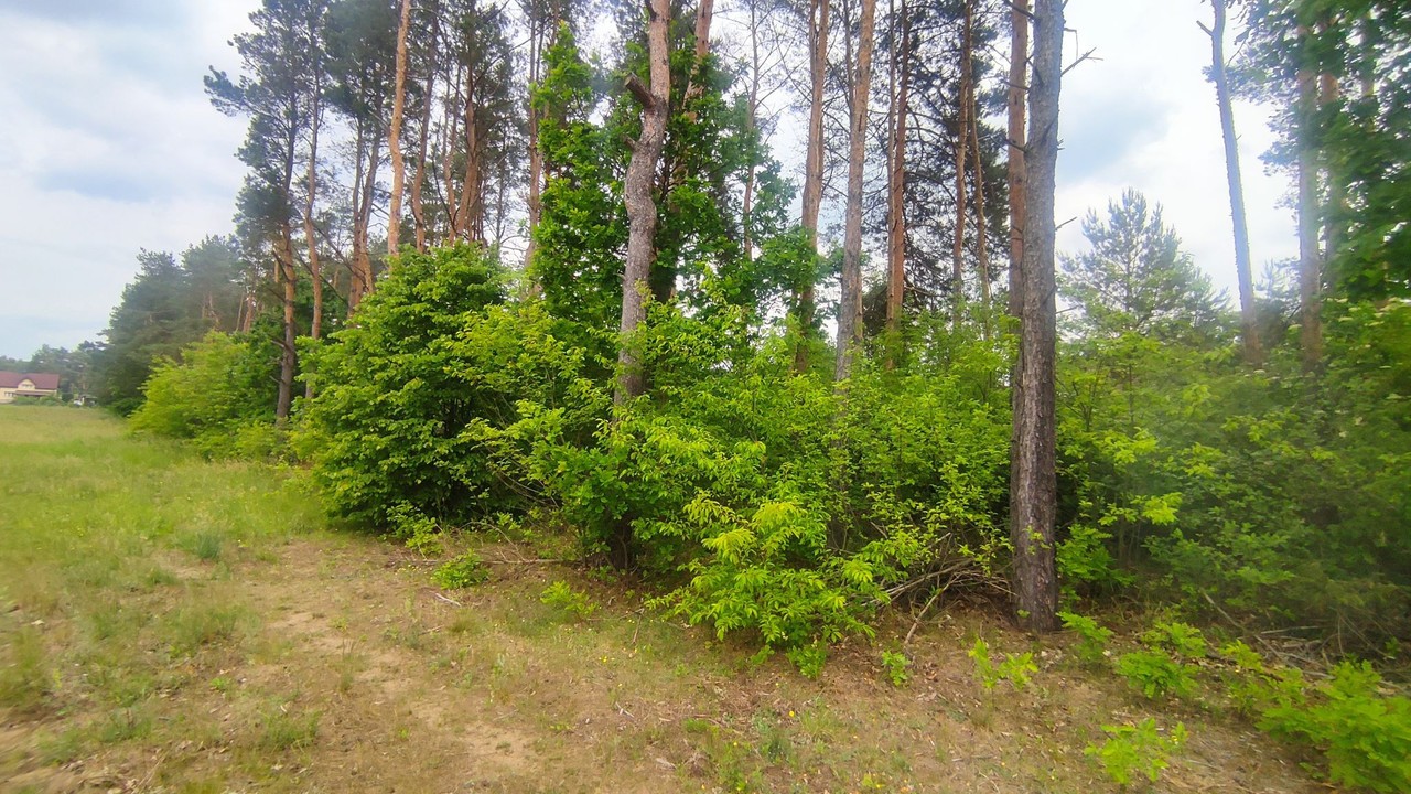 Budowlana Wieliszew - View 2