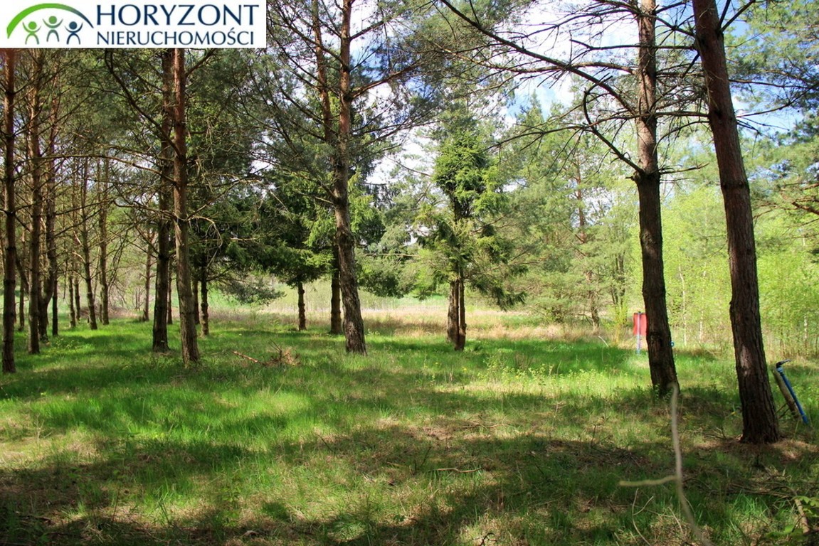 Zaciszna działka w Sitnie - Widok 2