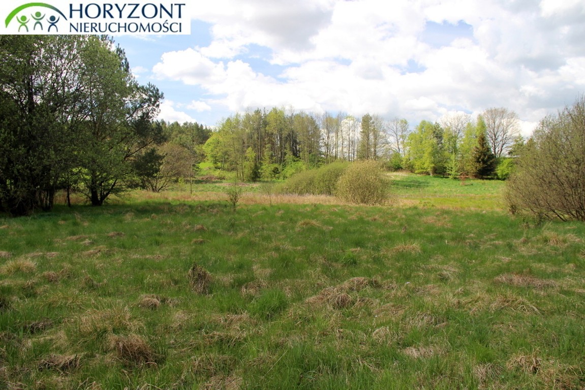 Zaciszna działka w Sitnie - Widok 4