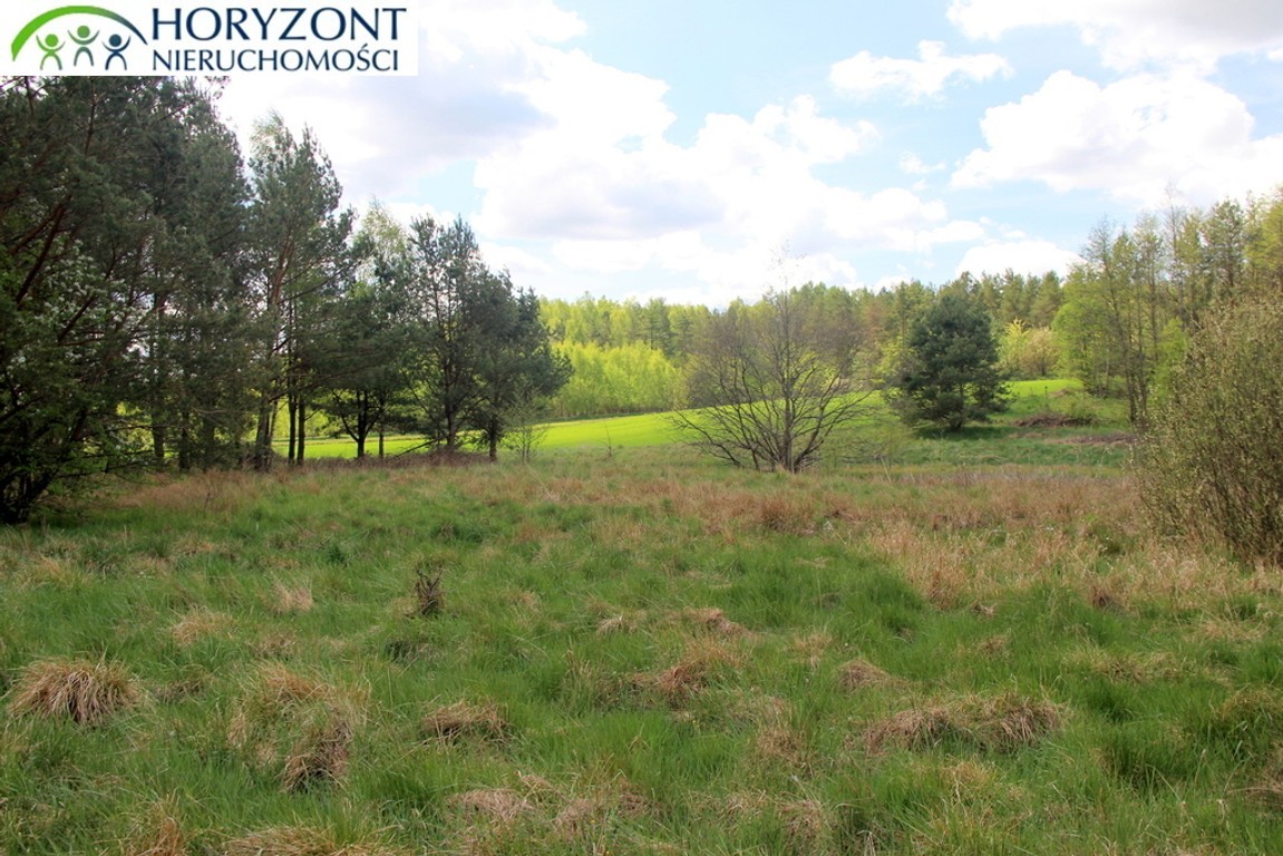 Zaciszna działka w Sitnie - Widok 6