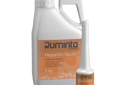 RUMINTA Wspomaga pracę wątroby Hepamix liquid 5kg-1