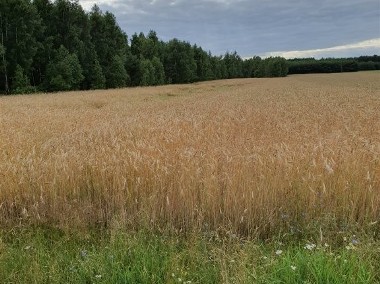 Działka rolna Rawa Mazowiecka-1