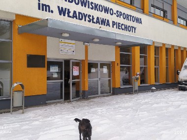 NARTY kiermasz  w Krapkowicach -Hala Otmęt 15  GRUDZIEŃ 2024  r.(Krako59).-1