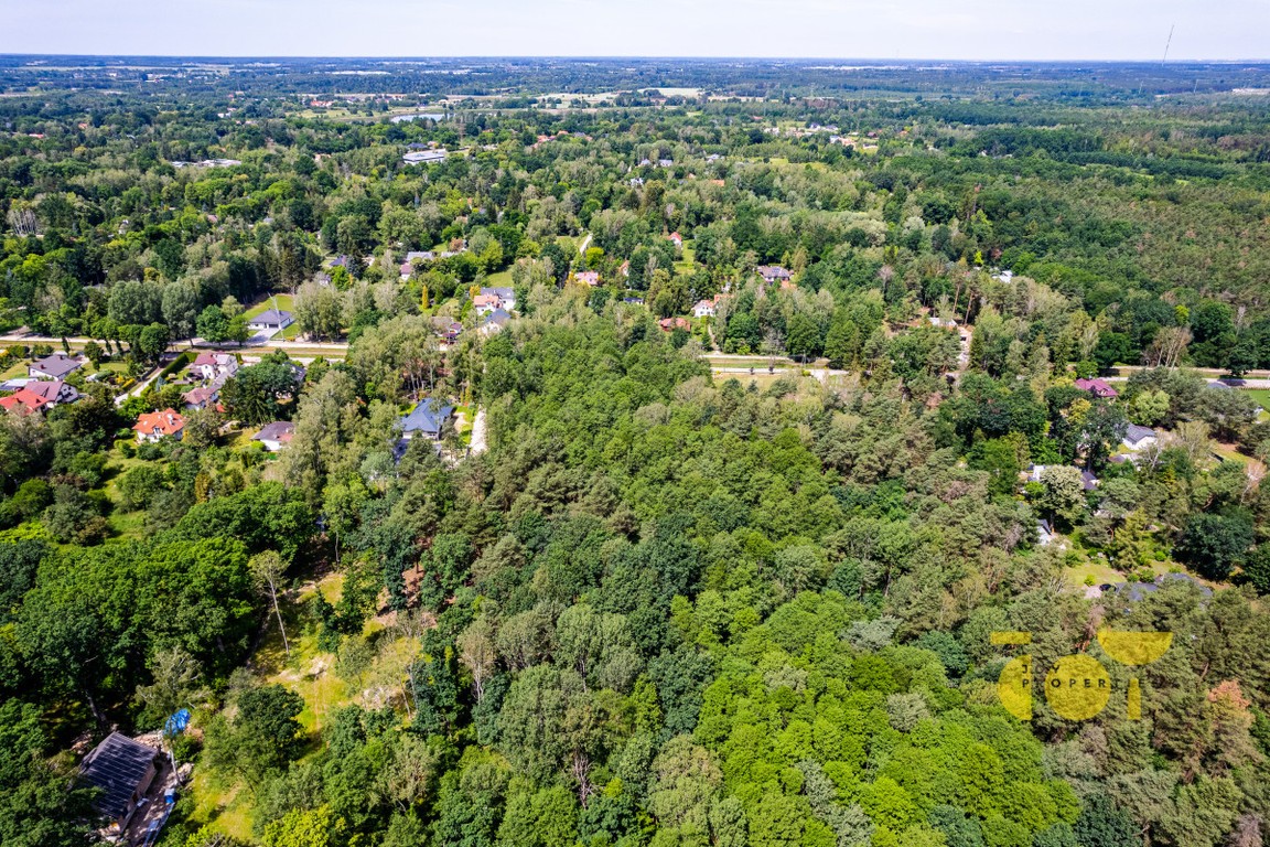 Ideał, działka pod Warszawą, Złotokłos – pohled 2