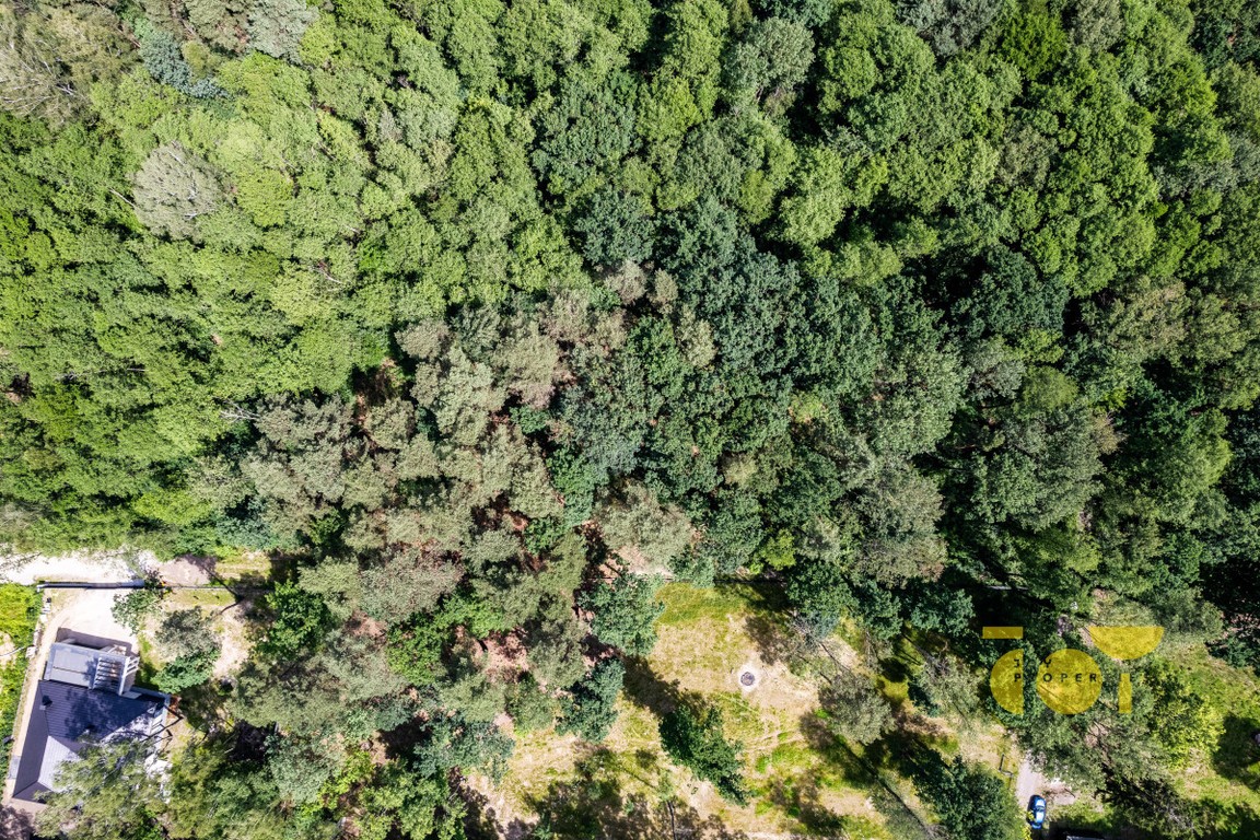 Ideał, działka pod Warszawą, Złotokłos – pohled 5