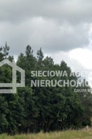 Atrakcyjne działki leśne 16.855 m2 w Borkowo-2