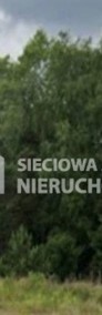 Atrakcyjne działki leśne 16.855 m2 w Borkowo-4