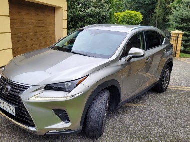 Lexus NX 300h, 1 właściciel, kupiony w salonie polskim-1