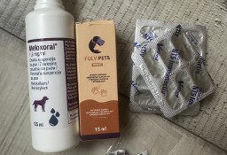 NTS Immunactive, Fulvipets, Meloxoral, Tezo