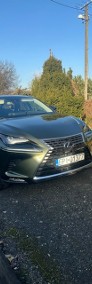 300h z gazem -4