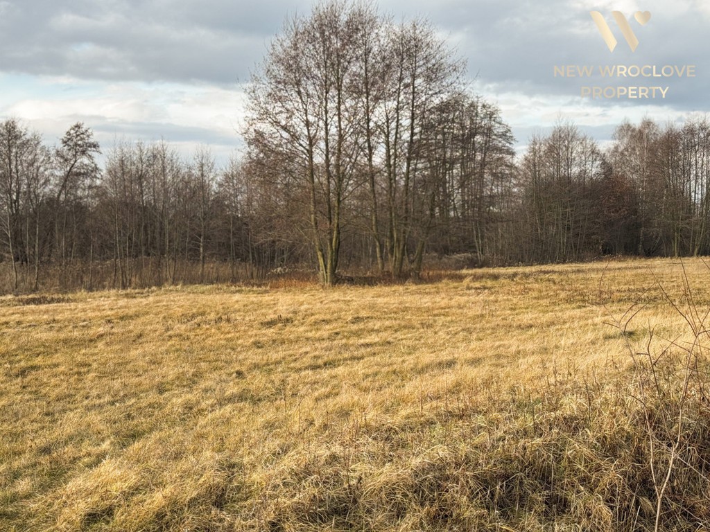 Działka rolna Trzęsowice, możliwość negocjacji - Widok 3