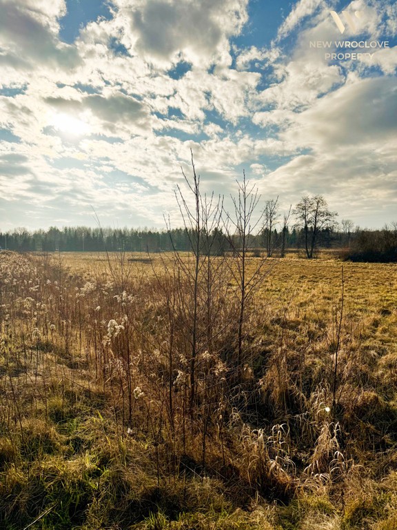 Działka rolna Trzęsowice, możliwość negocjacji - Widok 5