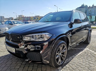 3.0d XDrive Individual Salon PL Doinwestowany 2xAlu-1