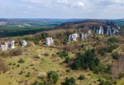 Działka budowlana Rzędkowice, ul. Polna