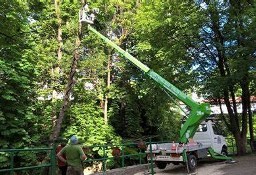 Wycinka drzew z podnośnika oraz alpinistycznie. Wynajem Zwyżki 20 M