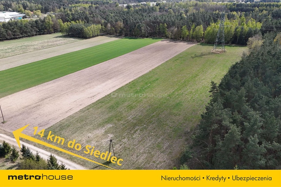 Działka na sprzedaż, 12015 m², Skórzec Gołąbek - Widok 2