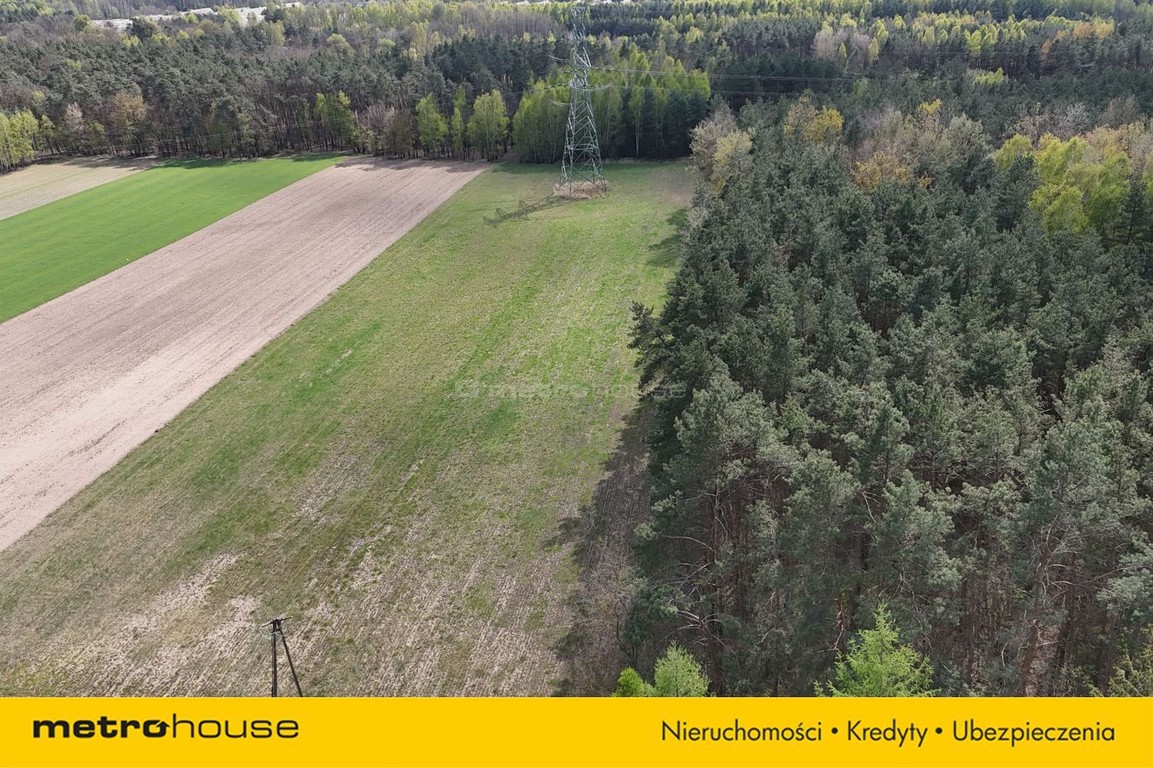 Działka na sprzedaż, 12015 m², Skórzec Gołąbek - Widok 4