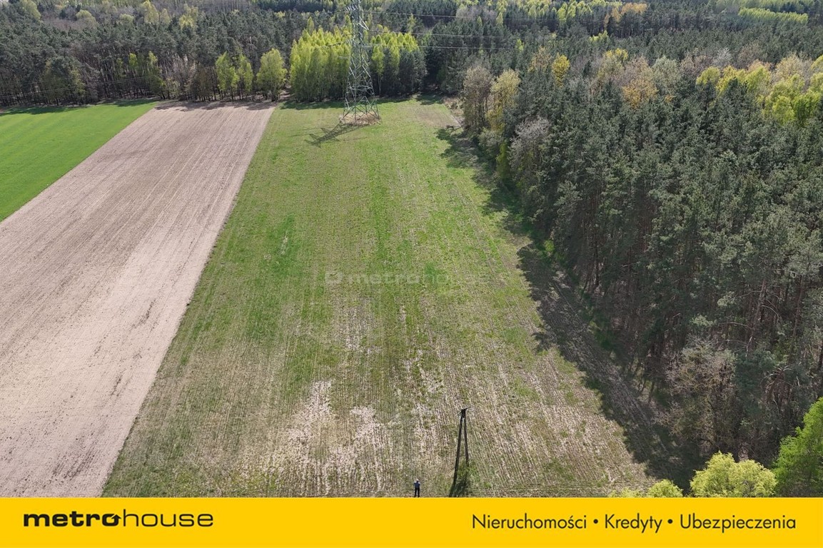 Działka na sprzedaż, 12015 m², Skórzec Gołąbek - Widok 5