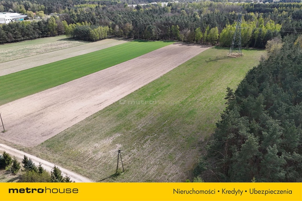 Działka na sprzedaż, 12015 m², Skórzec Gołąbek - Widok 6